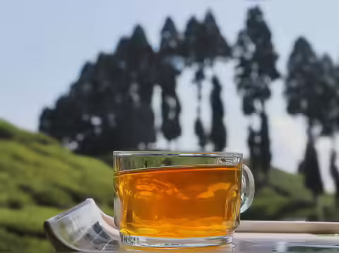 The Richness of Authentic Assam Tea